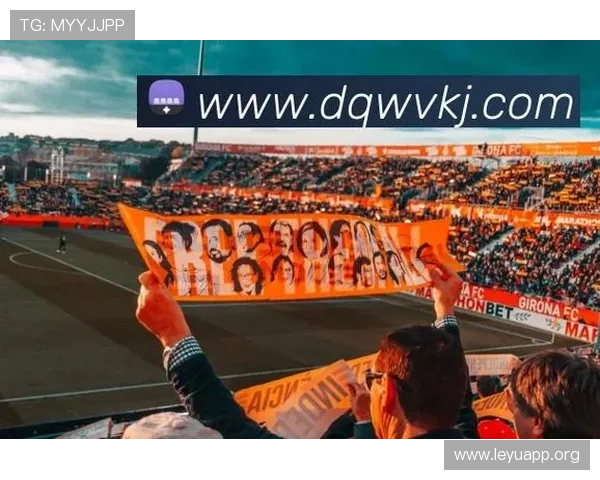 乐鱼电子登录界面优化升级，提升用户体验与操作便捷性，打造更流畅的游戏环境