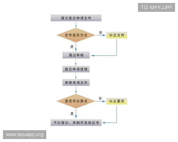 乐鱼软件完成资金流水的实用方法及操作流程介绍